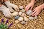 10mm Rhinegold Gravel Decorative Stone – Golden Quartz Shingle for Driveways, Paths & Garden Landscaping – Bulk & Maxi Bag Options